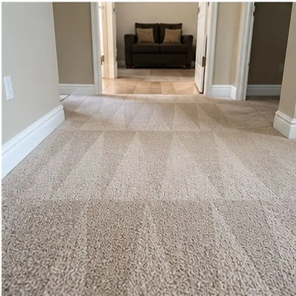 Carpet cleaning results in Altona VIC